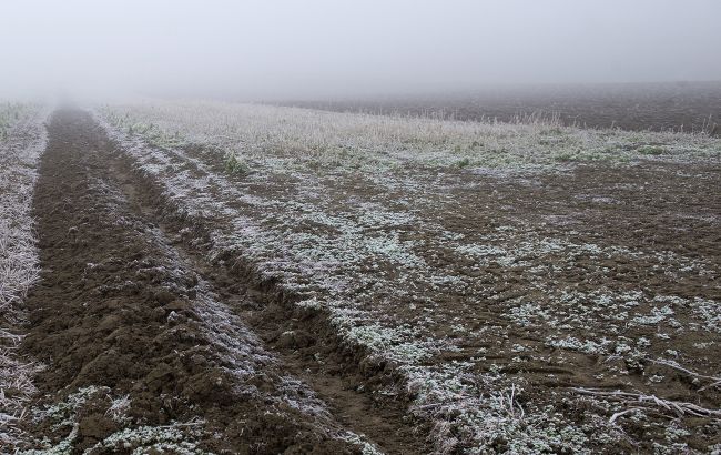 Небезпечні заморозки на ґрунті та у повітрі: де і коли чекати мінус до кінця тижня (карта)