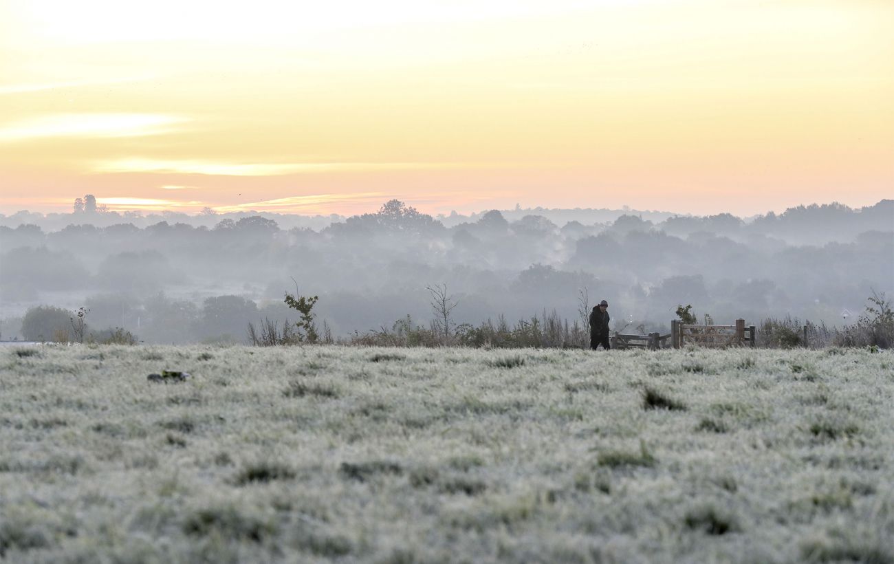 В Україну повертаються квітневі заморозки на ґрунті та у повітрі: де і коли чекати мінус (карта)