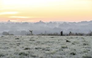 Шторм відступає, але йдуть заморозки: яка погода буде в Україні найближчими днями