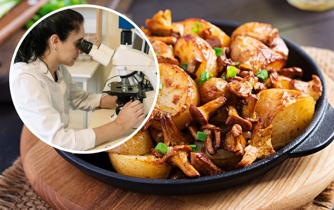 Эти продукты провоцируют воспаление в организме: от чего следует отказаться