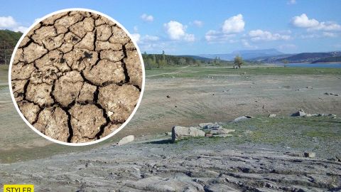 Крым постигла экологическая катастрофа: люди в ужасе