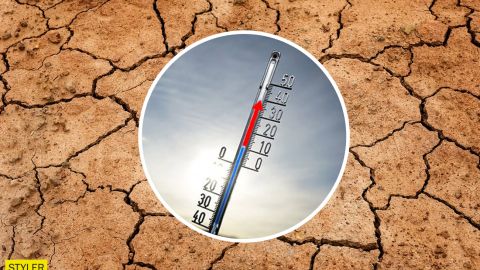 Превратится ли украинский климат в "тропики" летом: синоптик дала четкий ответ