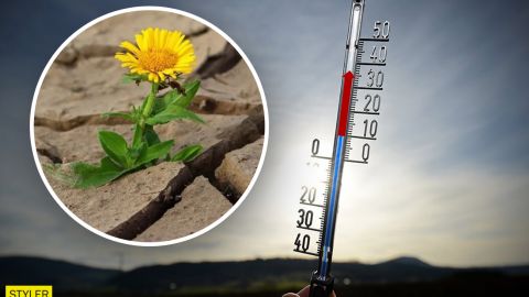 Синоптики розповіли українцям про погоду на серпень: будуть побиті температурні рекорди