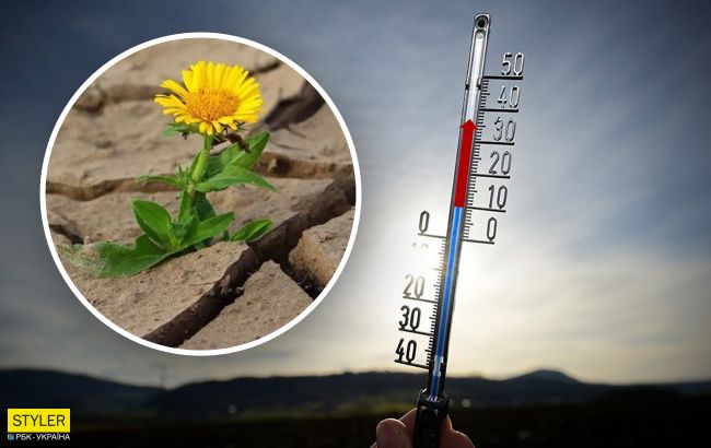 Синоптики розповіли українцям про погоду на серпень: будуть побиті температурні рекорди