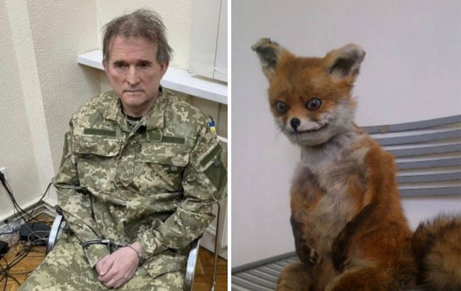 Украинцы смеются над Медведчуком, который похож на Чмоню и чучело лисы (фото)