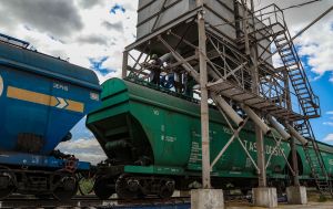 Перевезення зерна впали до мінімуму за 10 років: чому УЗ втрачає вантажну базу