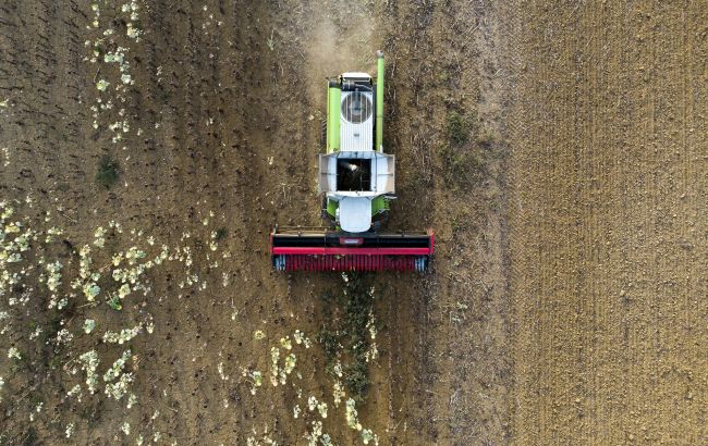 Витискає з ґрунтів максимум. Яка культура в Україні найбільше виснажує землю