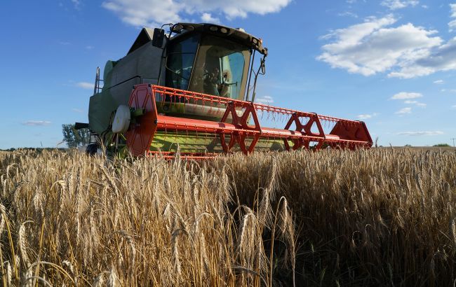 Кабмін дає аграріям пів року на розрахунки за контрактами через блокування портів