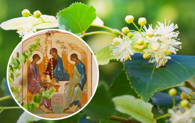 Зелені свята 2023: всі традиції, обряди та що робити не можна