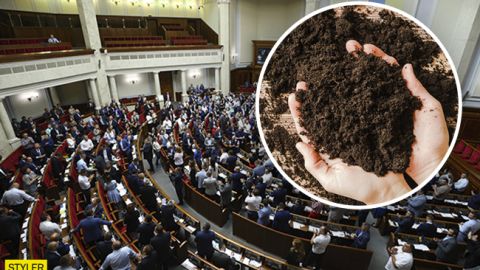 В Украине стартует продажа земли: названа стоимость гектара