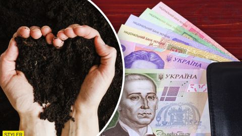 Українців закликали не продавати землю після запуску ринку: у Кабміні назвали причину