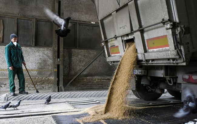 Пять стран ЕС хотят продлить ограничения на импорт украинского зерна