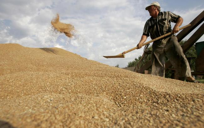 Державний трейдер зупинив експорт зерна: чим це загрожує Україні на світовому ринку
