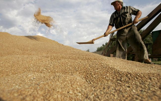 Експорт української агропродукції в ЄС виріс на 68 мільйонів доларів