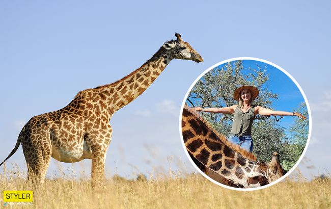 В ЮАР муж с женой на 14 февраля убили жирафа и сделали из его сердца "валентинку"