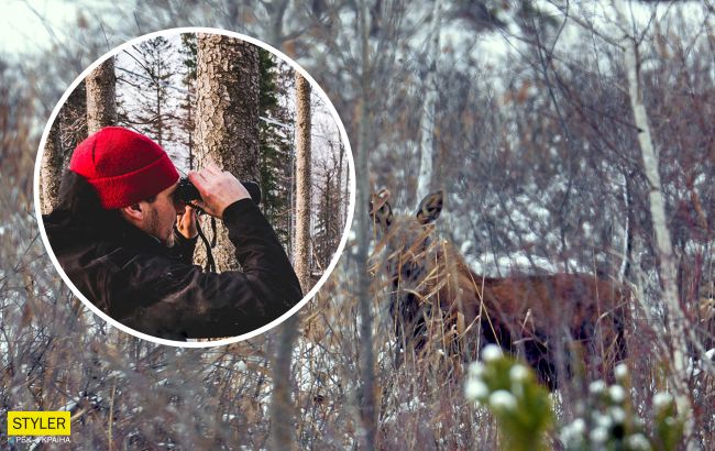 У Чорнобилі червонокнижна тварина позувала на фото: гідна виставки