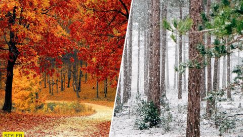 Синоптики, розповіли коли в Україні почнуться морози і сніг&nbsp;