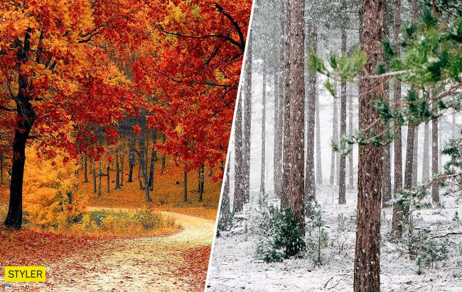 Синоптики обновили прогноз на октябрь и рассказали, ждать ли первого снега и морозов