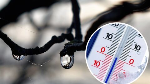 Тепла в мае не ждите: синоптик рассказал, какой будет весна в Украине