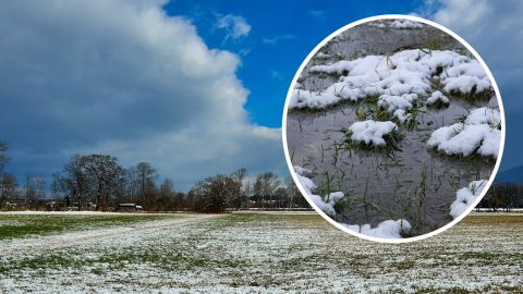 Народный синоптик шокировал прогнозом на весну: из-за нее будет самый неурожайный год