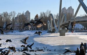 Антициклон руйнується: чому погода в Україні завтра буде небезпечна і де прогріє до +10