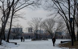 Пришла с опозданием: когда на самом деле началась зима в Киеве