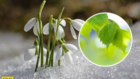 В Украину придут погодные аномалии: синоптики забили тревогу