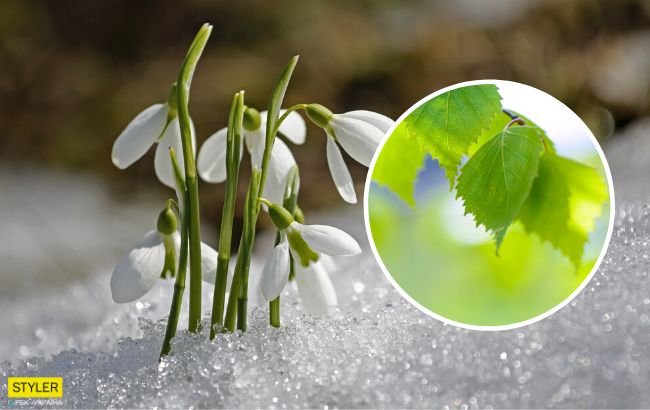 Тенденція збережеться: синоптики попередили про погодні аномалії