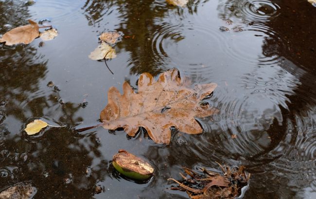 Снова задождит, но не везде. Синоптик дала прогноз погоды на сегодня