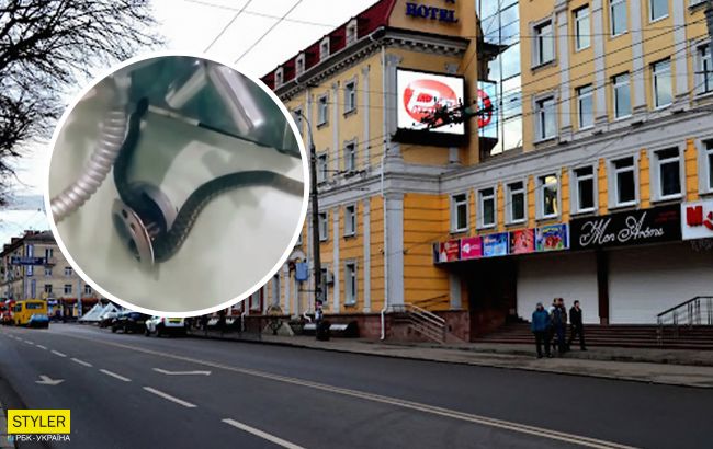 Новина про змію в Рівному у ванній місцевого жителя виявилася фейком: інцидент стався в Росії