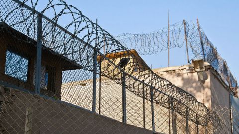 Волонтери розповіли про 100 днів ув'язнення в Оленівці: спали по черзі і майже не бачили воду та їжу