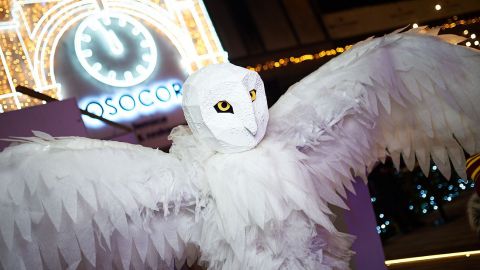 В Киеве покажут уникальное ледовое действо с героями киносаги о фантастических зверях