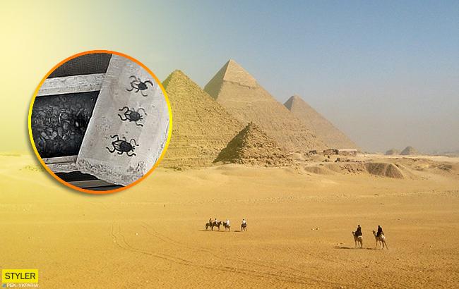 У Єгипті археологи знайшли мумії жуків-скарабеїв