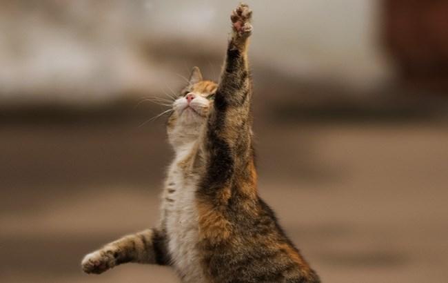 Стало известно, когда у человека самое лучшее настроение за день