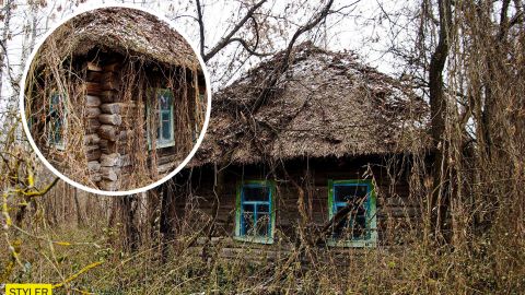 У Чорнобилі виявили унікальну хатинку: може, там живе Лісовик?