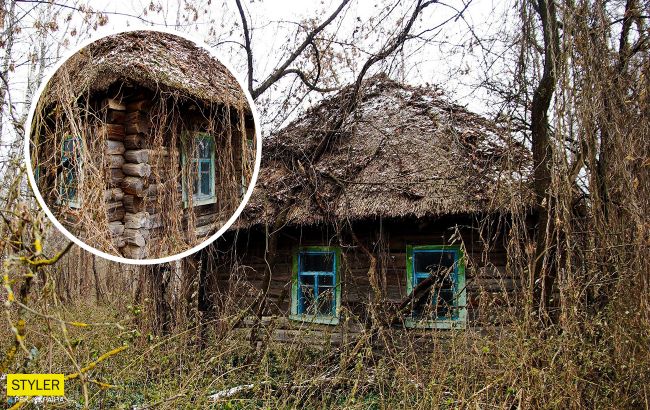 У Чорнобилі виявили унікальну хатинку: може, там живе Лісовик?