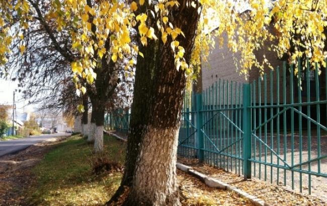 Погода на сегодня: в Украине без осадков, температура до +15