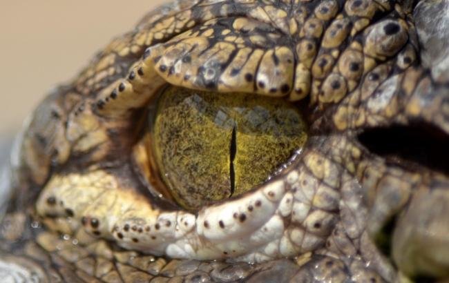 Гороскоп на сьогодні, 4 грудня