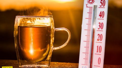 Разрушительные штормы и лесные пожары: климатологи шокировали прогнозом на пять лет