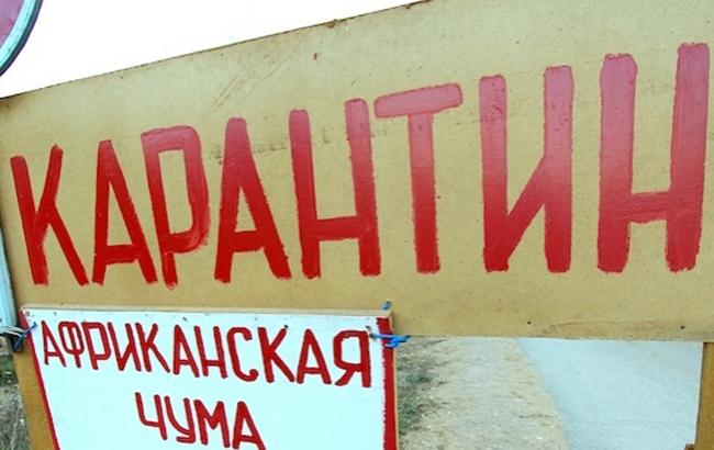 В автомобиле в Крыму нашли "африканскую чуму"