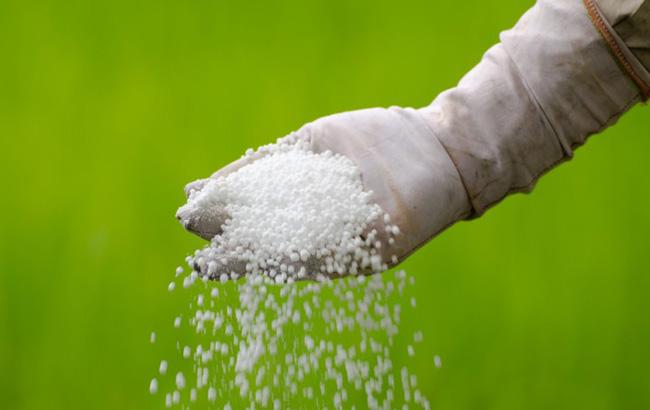 Украина недополучила урожая более чем на 32 млрд гривен из-за завышенных цен на азотные удобрения