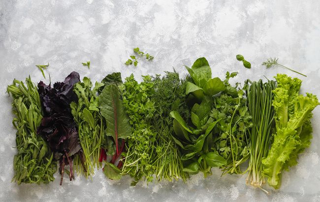 Смачна рукола: чим вона корисна і кому категорично заборонена