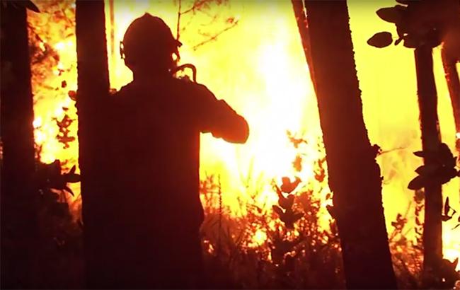 В Херсонской области горит лес
