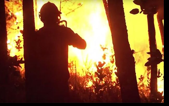ДСНС попереджає про пожежну небезпеку на сході України з 26 вересня по 1 жовтня