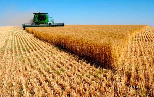 За рахунок різниці ПДВ аграрії отримують 16 млн грн на розвиток технологій, - МінАП