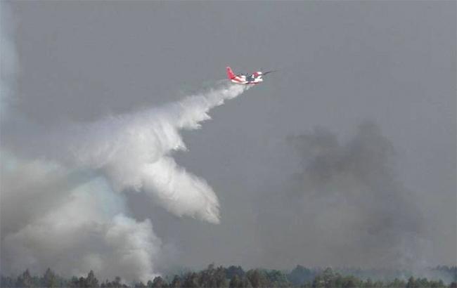 У Чернігівській області горить 10 га лісу