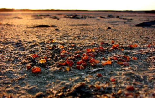 Рада хоче врегулювати видобування і реалізацію бурштину