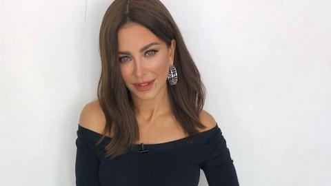 "Так и просится на грех": 39-летняя Ани Лорак засветила стройную фигуру в мини-шортах