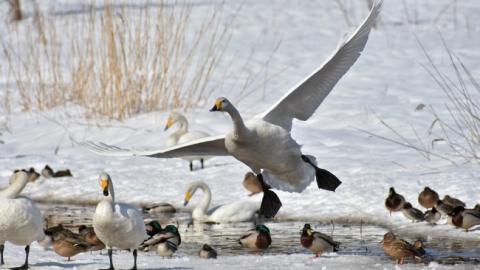 "Циклон пакует чемоданы": синоптик предупредила о кардинальных изменениях в погоде