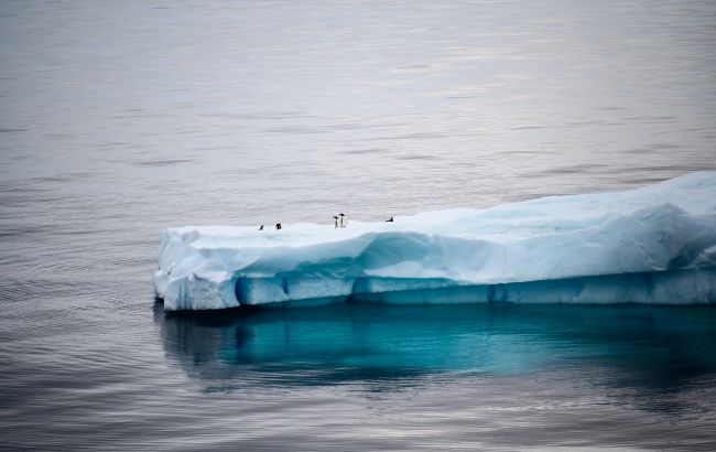 Від крижаного плато Антарктиди відколовся айсберг розміром з Лондон